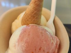 -极拉图·现制冰淇淋(大卫城店)