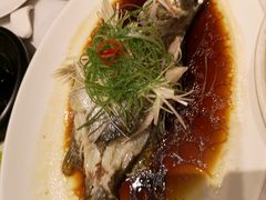 -上海会馆(香港名都店)
