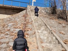 -永定河休闲森林公园