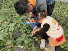 -小鱼草莓采摘园农家乐·小鱼餐厅