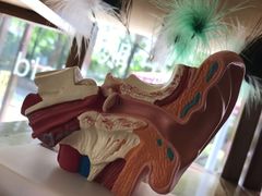 -耳语轻风专业采耳馆(古北花世界商业广场店)