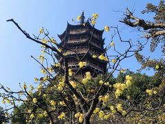 -北寺塔