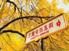 -三里屯东五街银杏大道