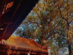 -南岳衡山风景名胜区