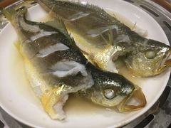 -四海蒸鲜蒸汽海鲜自助(北戴河店)