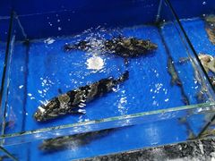 -船家渔(徐州北路店)