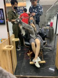 点击看大图 -KS COLOUR漂色·染发·画染