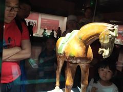 -宁夏博物馆