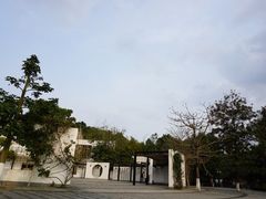 -中山市树木园