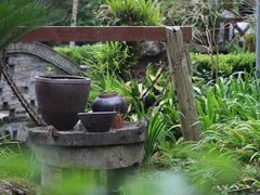 景观位-青城甲(青城山店)