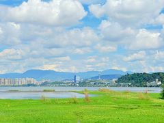 -洱海月湿地公园