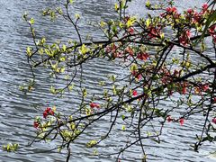 -重庆彩云湖湿地公园