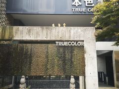-苏州本色美术馆