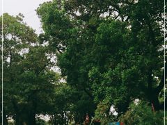 -顺风山庄(水濂山店)