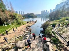 -重庆彩云湖湿地公园