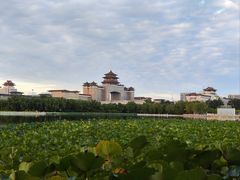 -莲花池公园