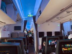-新加坡航空公司(ION)