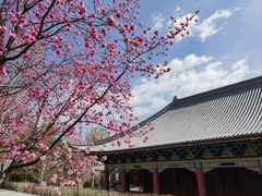 -崇圣寺三塔文化旅游区