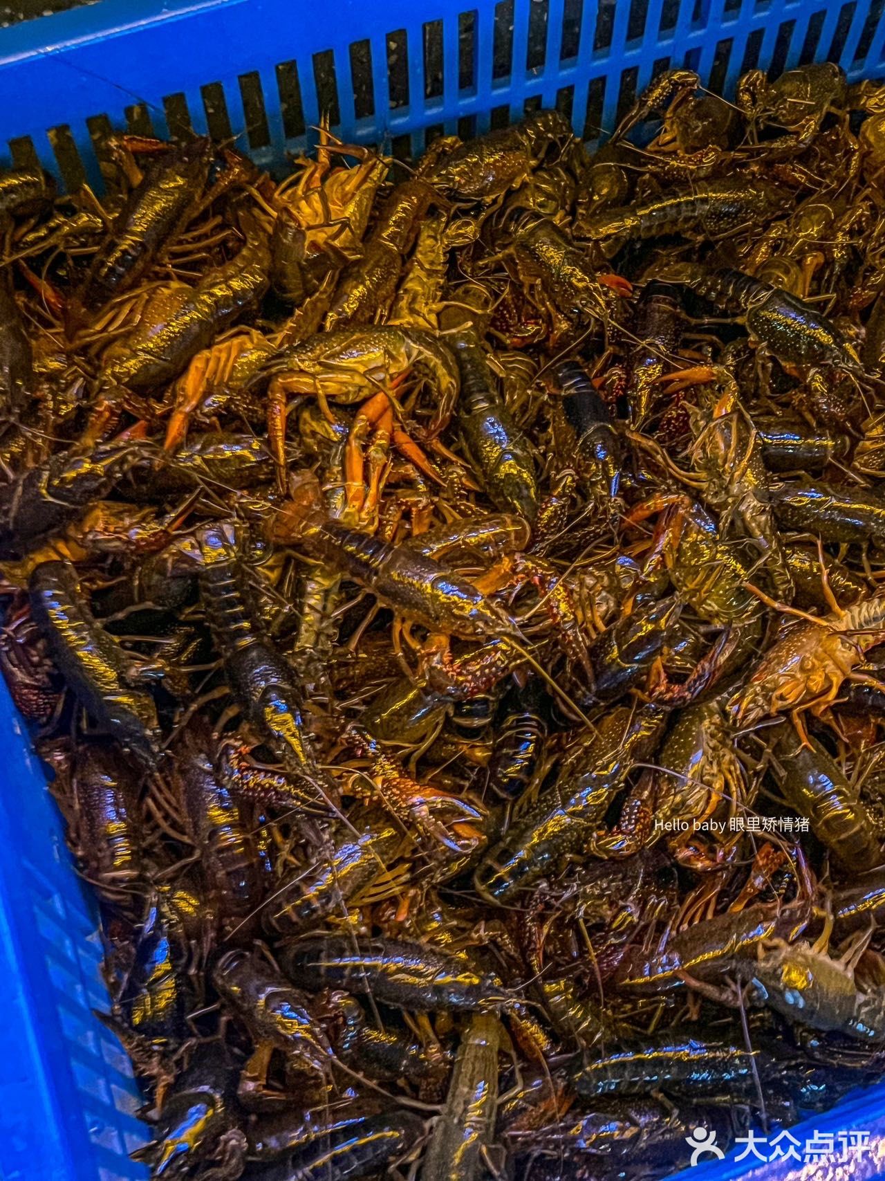 来宁波必打卡的龙虾店！！问1000次也是它家