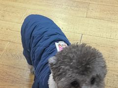 -观桥阁(锦溪店)