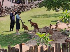 -泉州海丝野生动物世界