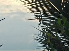 -渔·日落海景餐厅(南沙湾沙滩店)