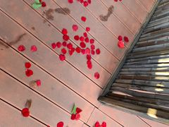 -春晖园度假酒店温泉