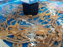 -盒马X会员店(上海森兰商都店)