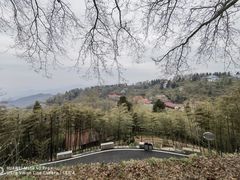 -莫干山风景区