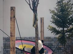 -大青山野生动物园