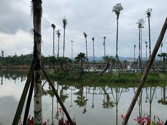 -枫香湖儿童公园