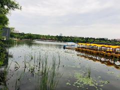 -长春市南湖公园