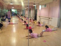 -雅米拉艺术中心(少儿舞蹈培训)