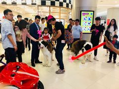 -凯德广场(学府店)