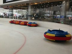 -TheRink大零溜冰场(IFS国金中心店)