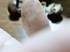 -栗满秋(燕丰西坝河店)