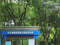 -重庆彩云湖湿地公园