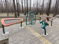 -黄海国家森林公园