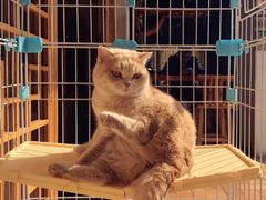 -朕悦鹧鸪饭私房菜