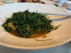 蚌肉金花菜-洋洋中餐馆·SINCE 1997(信投店)