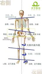 -昕孕瑜伽·孕妇瑜伽·产后修复