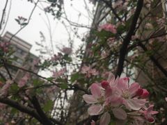 -徐亮烤蹄(建设路店)