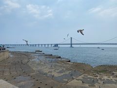 -星海广场