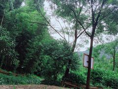 -黄公望隐居地