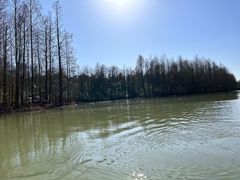 -上海海湾国家森林公园