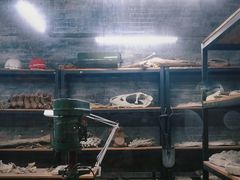 -重庆自然博物馆(新馆)