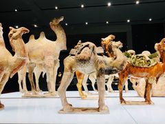 -陕西历史博物馆