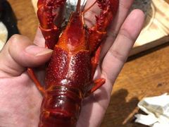 冰镇花雕熟醉龙虾-啤仕多·啤客国潮跳舞BAR(保俶路店)