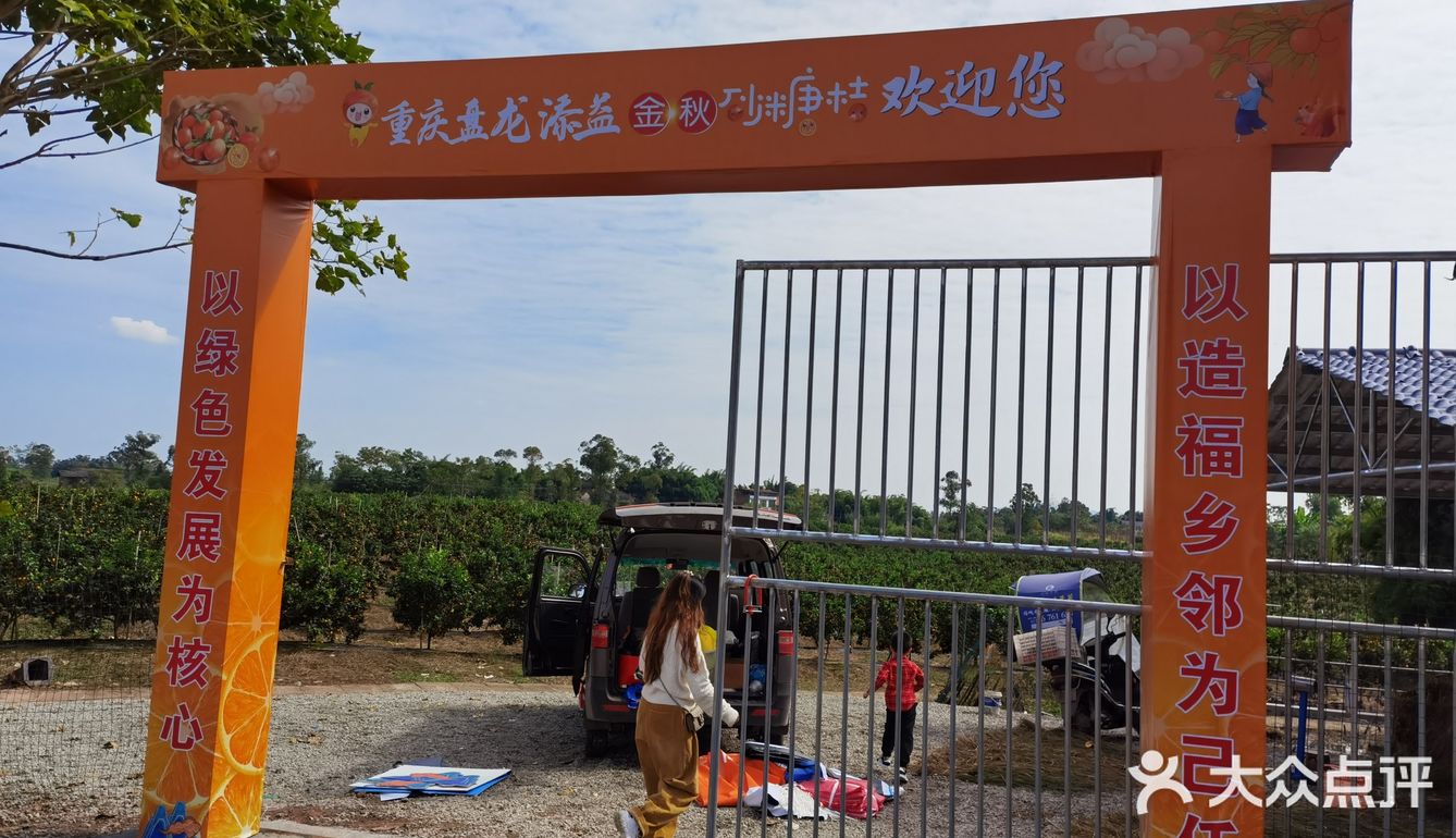 重庆荣昌盘龙镇盘周路路边上的一处果园