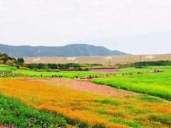 -光明小镇欢乐田园